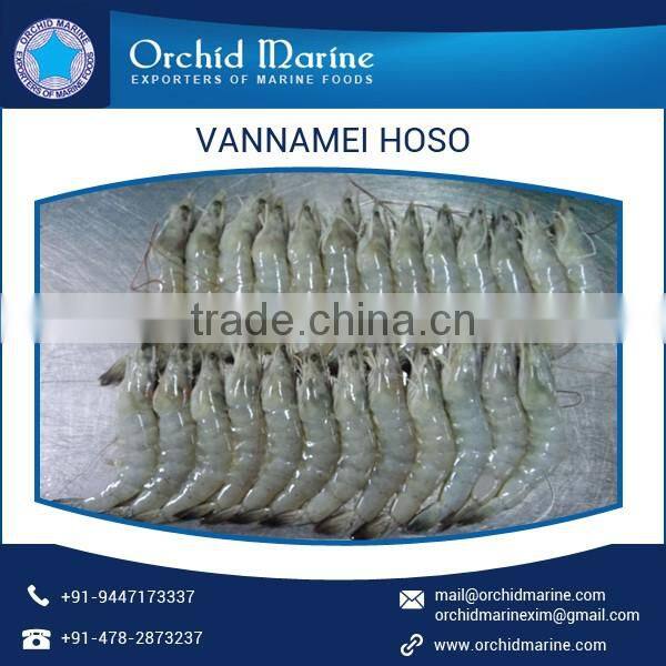 Bulk Exporter of High Quality Vannamei Shrimp HOSO