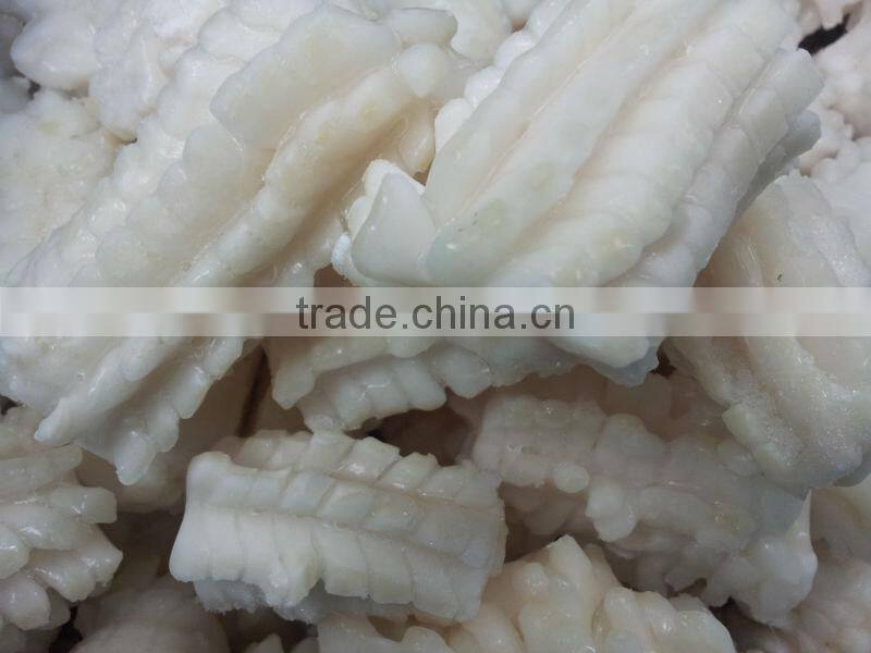 frozen carving squid