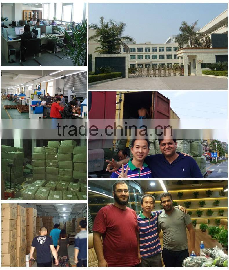 Wholesale prompt delivery running shoes/men's sports shoes fashion jogging shoes