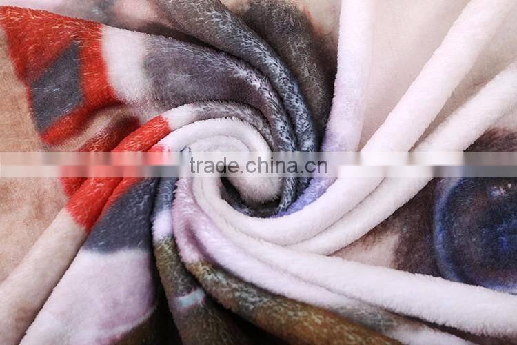 Custom Full Screen Printing Fleece Thermal Throw Carpet For Dogs