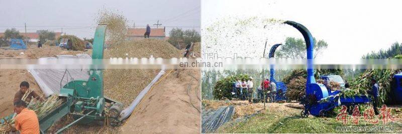 Professional manufacturer high-efficiency grass shredder/straw shredder/grass cutting machine