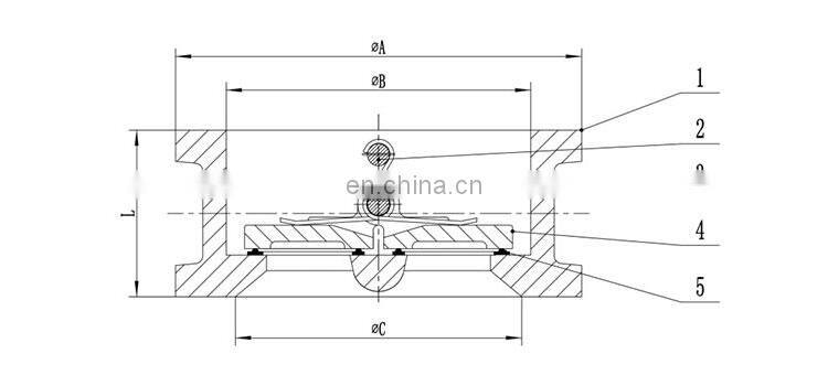 Bundor PN16 Dual Plate DN40-600 Cast Iron Spring Loaded Wafer Check Valve