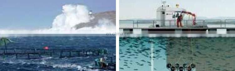 PET Agriculture Fish Farm Cage Netting Gabion Hexagonal Wire Mesh