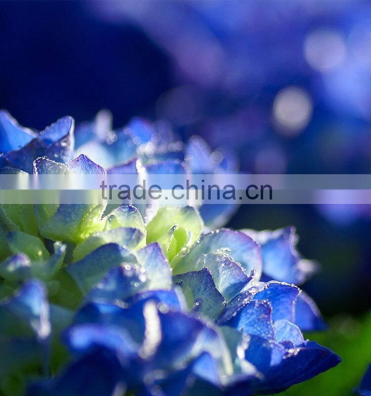 Super quality hotsell real look hydrangea