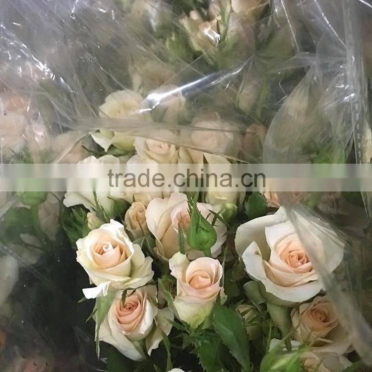 New OEM fresh rose flower
