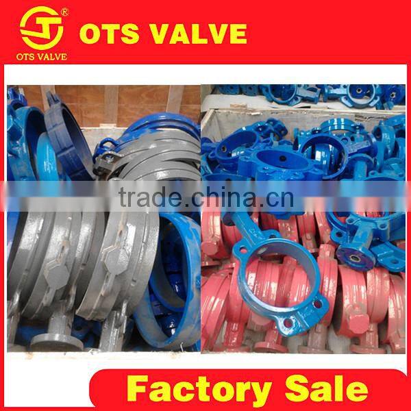 VP-LY-020 butterfly valve parts casting
