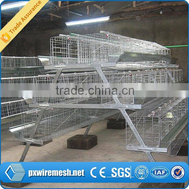 chicken farm equipment