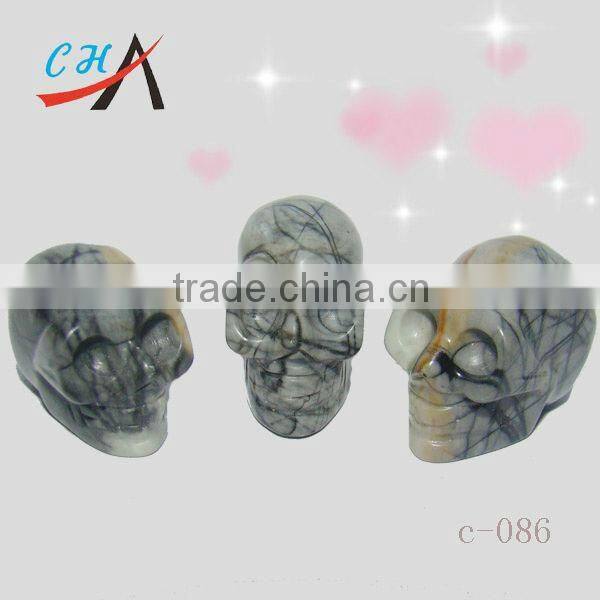 skull model human for sale