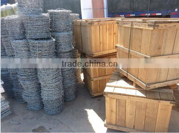 Guangzhou factory galvanized barbed wire price/single barbed wire roll price