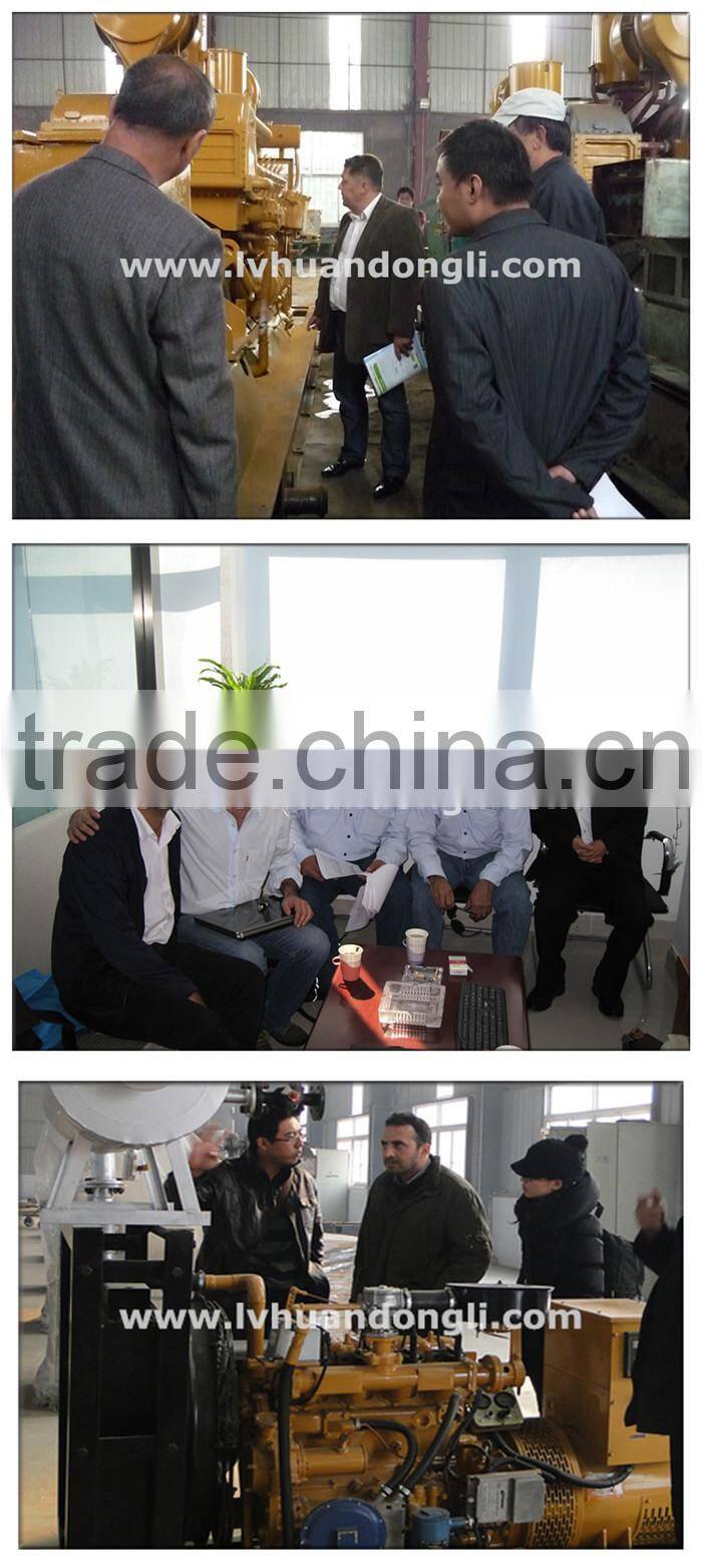 High efficient CE ISO natural gas generator electricity power plant gas cng diesel generators