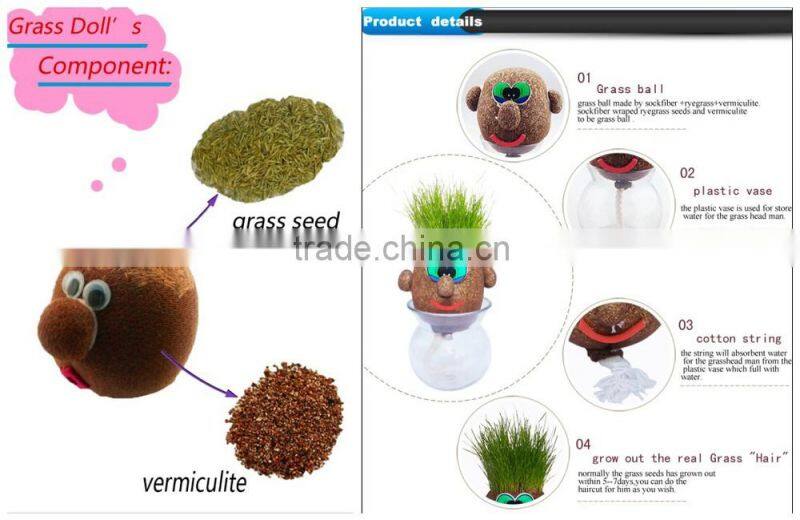 Garden Decoration indoor plant pots mini planters buy flower online