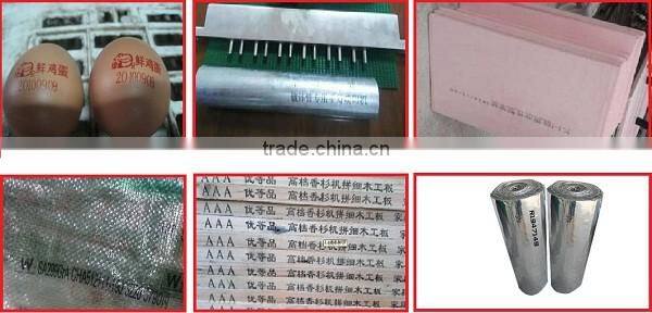 Inkjet plastic bag barcode printer/printing machine