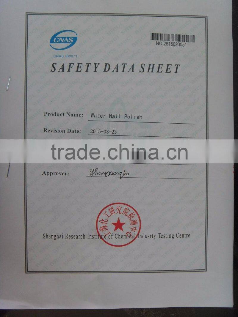 pigment nail mirror art prowder 2g 12color Simple Packing