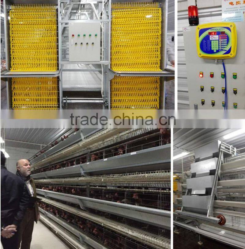 H type hen chicken cage