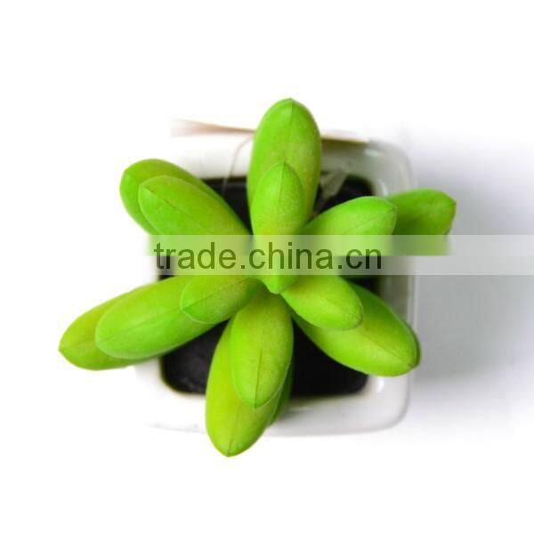 potted decorative artificial green succulent plant