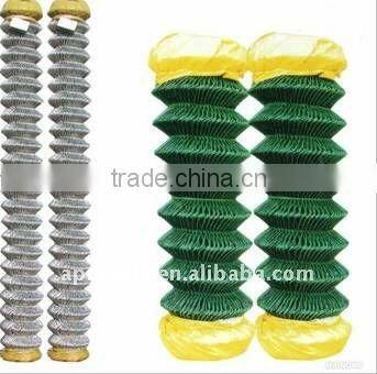 Hot Dipped Galvanzied Chain Link Fence(Competitive Price)