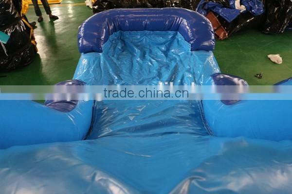 Hot Commercial Grade Cheap Dolphin Water Slide ,28ft Castle Slide