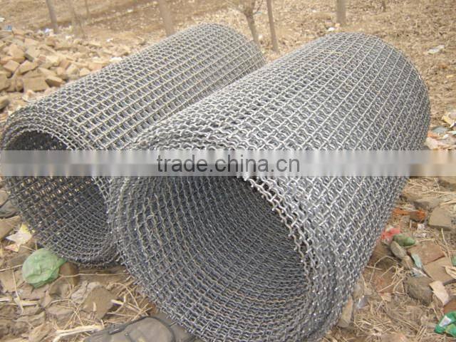Galvanize crimped wire mesh