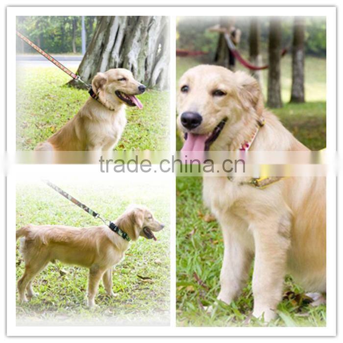 Best price decorative luminous locking dog collars/pet collars