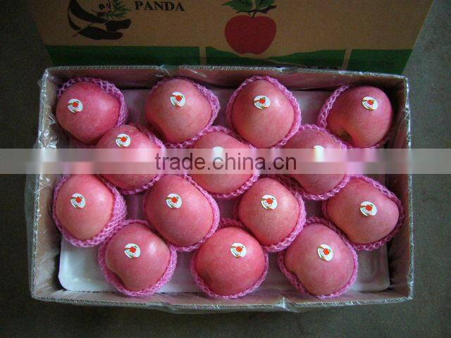 Fruit Apple Fresh Red uji Apple