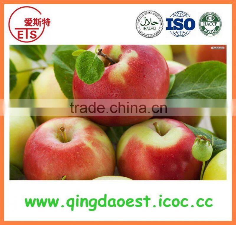 15-25 mm All stars Best quality Whole Fresh Strawberry