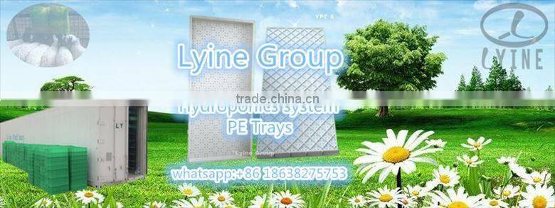 hydroponic green barley,wheat,alfalfa seedlings feed sprouting trays for animal,cattle,sheep,goats