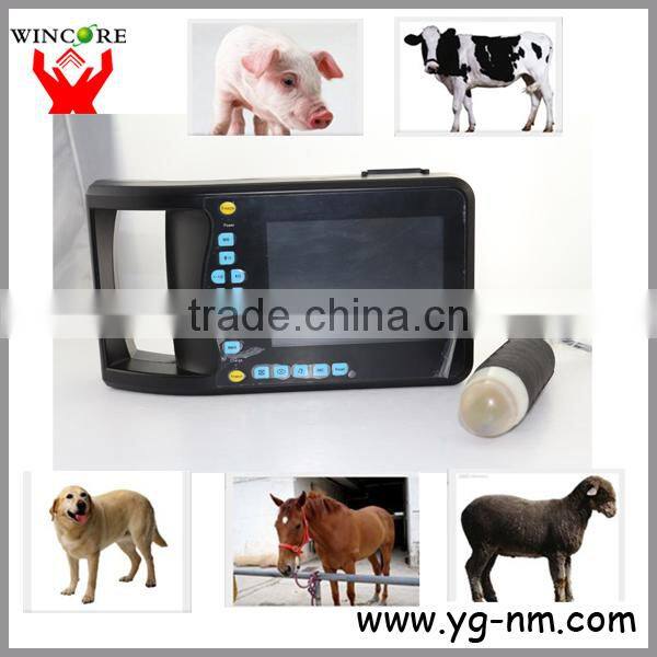 artificial insemination instruments boar semen bottles for pig