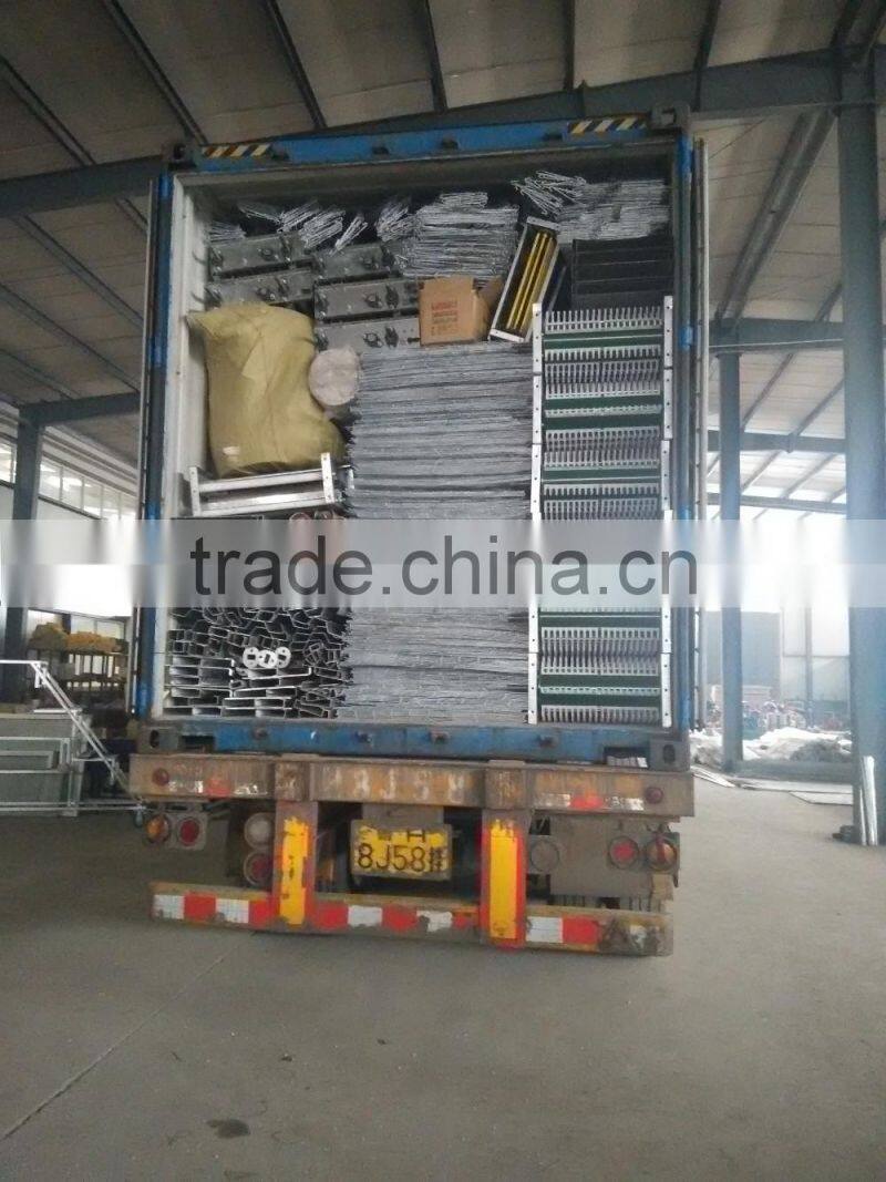 20000 Layer Farm Equipment large scale automatic project