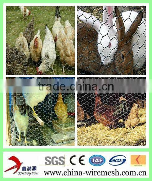 PVC Coated Galvanized Poultry Netting