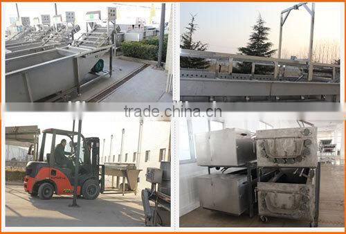 Super quality hot sale stainless steel industrial leafy vegetable washing machine