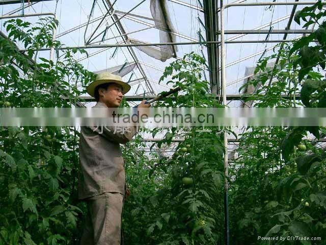 agricultural farm tools in green house /electric tomato pollinator