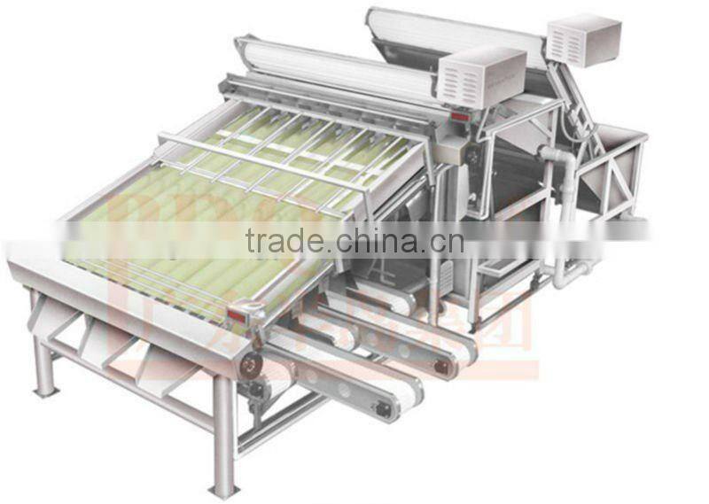 Shrimp Grading Machine Shrimp Grader