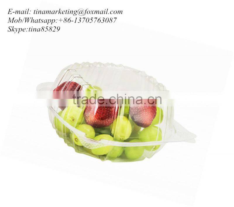 Clear Hinged Plastic Food Take Out To-Go Container,Clamshell Fruit/Cake/Salad Pack Box