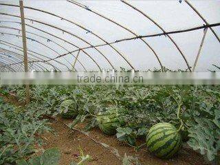 High Quality HDPE film for greenhouse, greenhouse plastic film