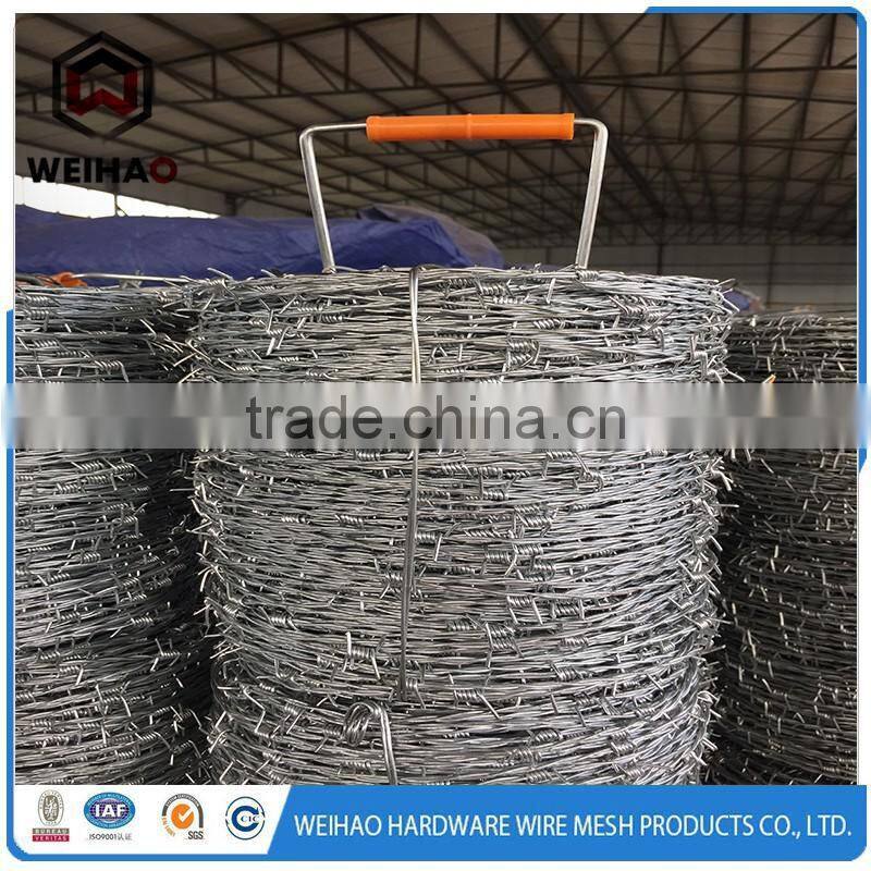 Galvanized Barbed Wire