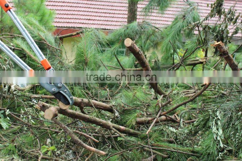telescopic Alum anvil pruner garden tools