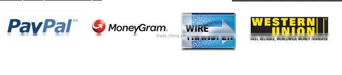 2016 Wholesale Princess Crown For Girls H172-130