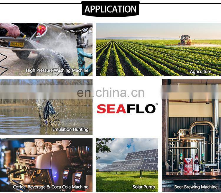 SEAFLO 17.0 LPM 40PSI High Flow Low Head Water Pump 230V For Industry