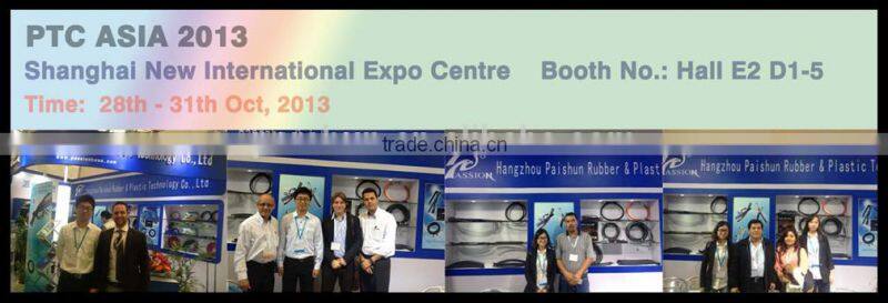 Braided Hydraulic Rubber Pipe / High Pressure