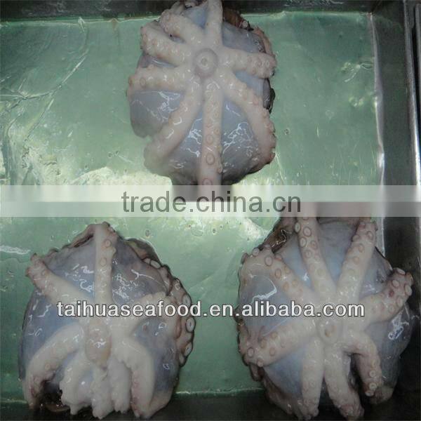 frozen and fresh octopus
