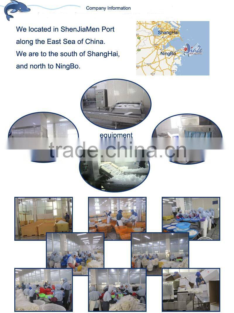 frozen Squid Tube- todarodes pacificus