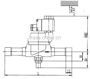 BLR/EVR New diaphragm water solenoid valve
