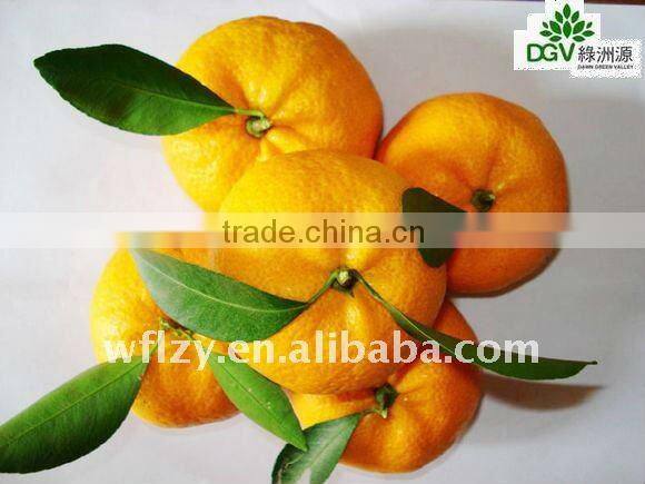 ganzhou Mandarin Orange