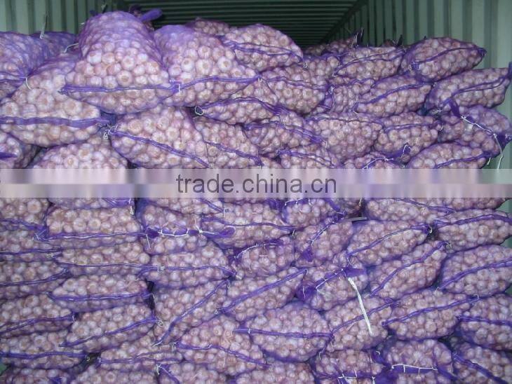 FRESH GARLIC IN NEW DROP 2016