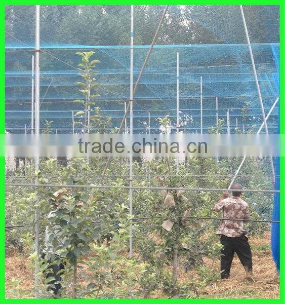 China supply vineyard PE anti bird protection netting with low price