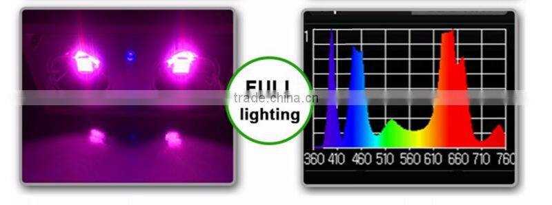 Alibaba express UV Zeus led grow light 300W for tiny houses