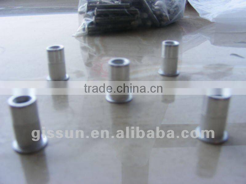 stainless steel and carbon steel blind rivet nut