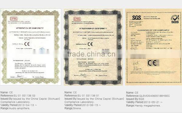 New Popular Student Violin SV 500