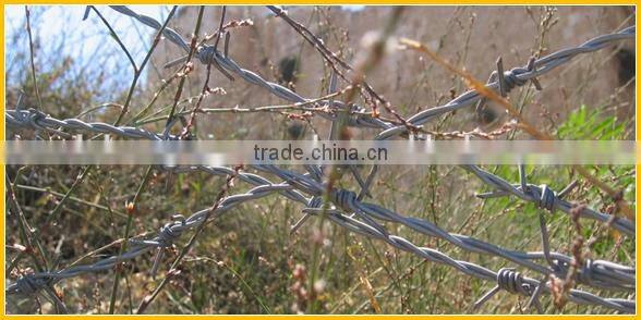 Best barbed wire galvanized barbed wire