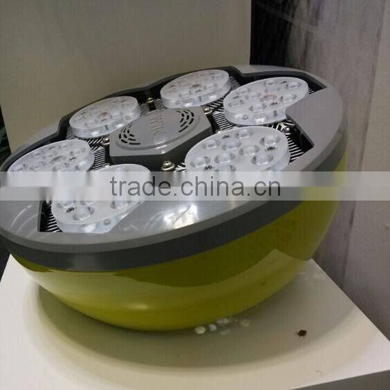 TIWIN new design colorful 220-240VAC 80w led high bay light